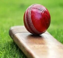 प्रदेशस्तरीय मिथिला कप टि–ट्वान्टी क्रिकेट प्रतियोगिता हुने