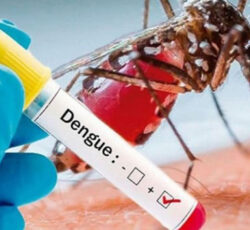 साउनदेखि सुरु भएको डेंगुबाट मृत्यु हुनेको संख्या ५५ पुग्यो, ५० हजार भन्दा बढी संक्रमित !
